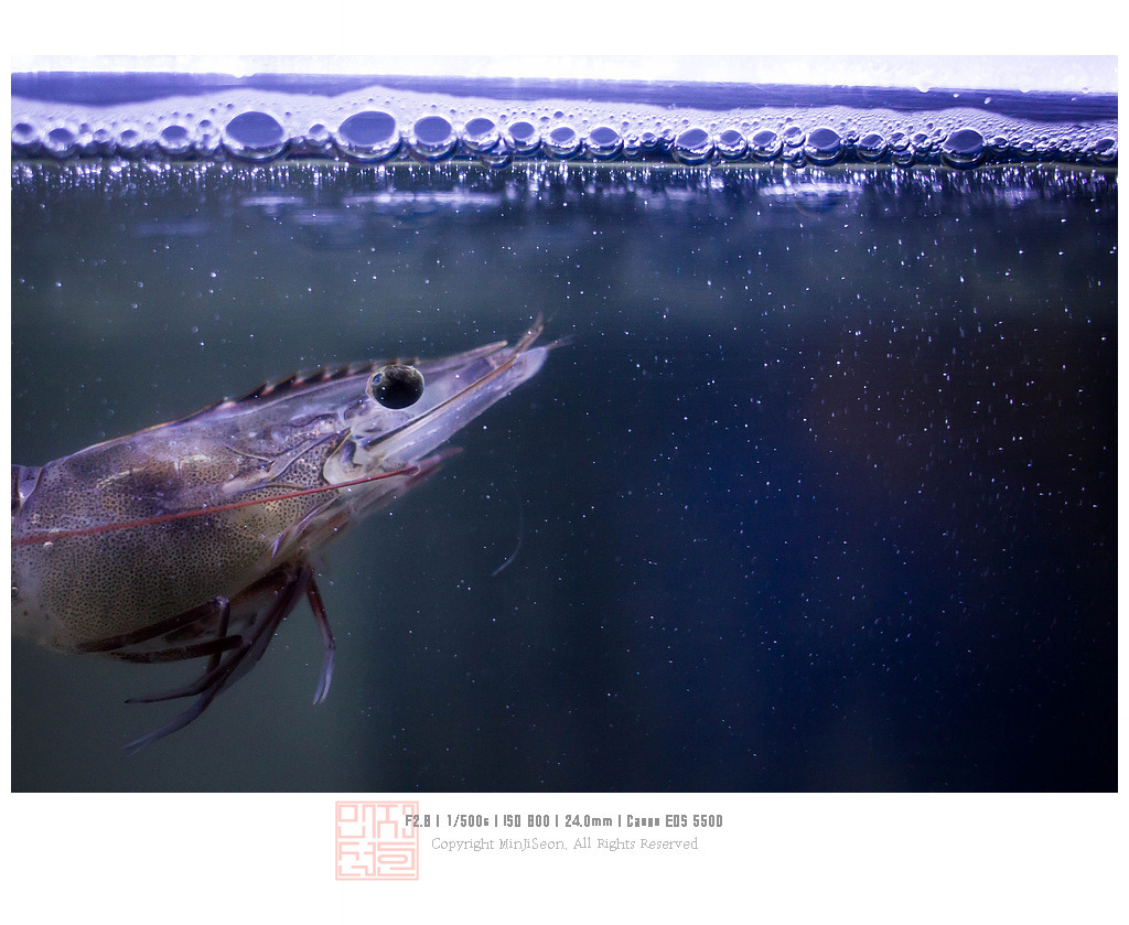 2018년 동안 찍은 C급 사진들 모음입니다 | 인스티즈