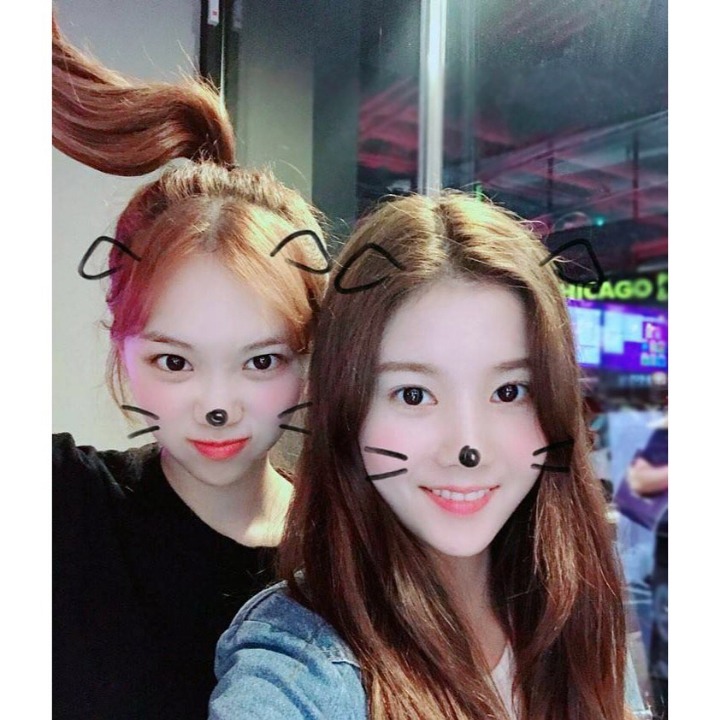 아이즈원 인스타.jpg | 인스티즈