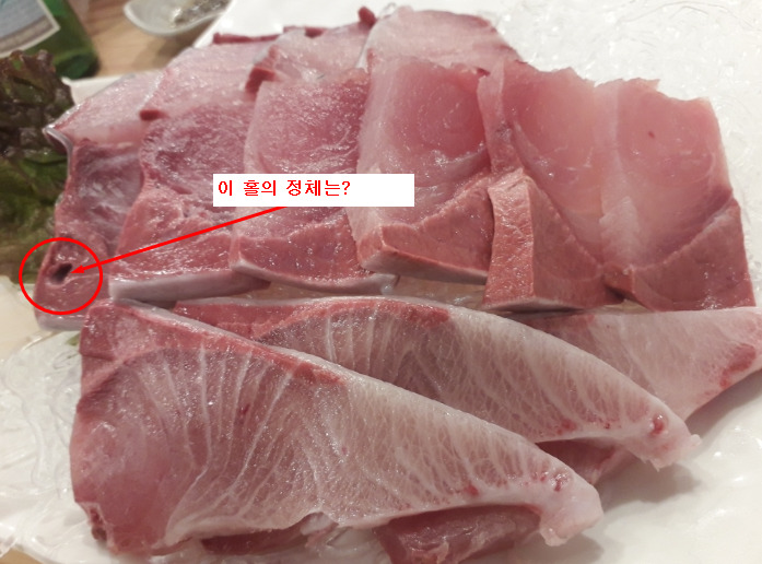 겨울철 방어(혐오주의) | 인스티즈