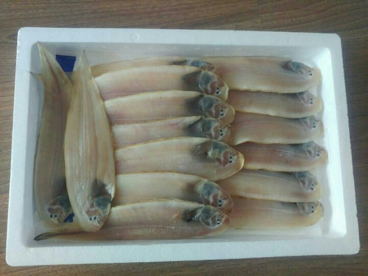 서천박대 이미지