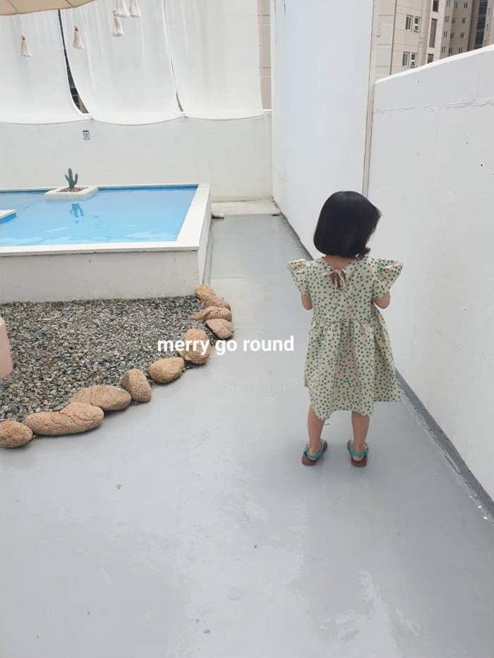 콩콩 이미지