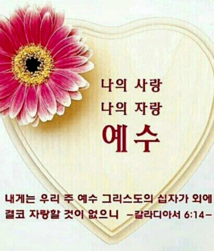 바라기 이미지