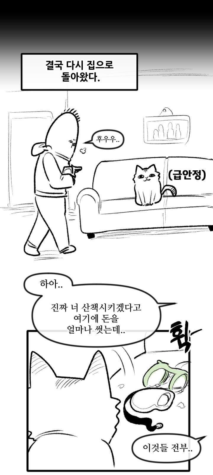 우리집 고양이 이야기.manhwa | 인스티즈