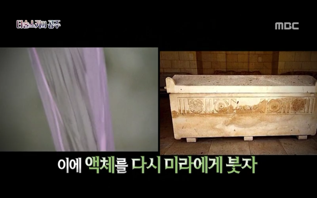 석관 안에서 발견된 8억 년 전의 미라 미스터리, 신비한TV 서프라이즈 '티술스키의 공주' | 인스티즈