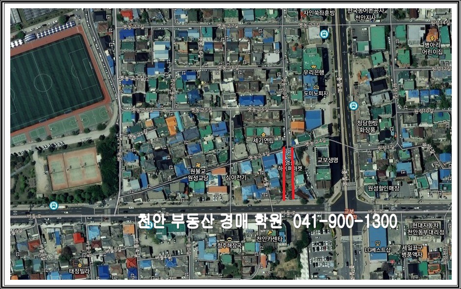 (합)늘푸른 이미지