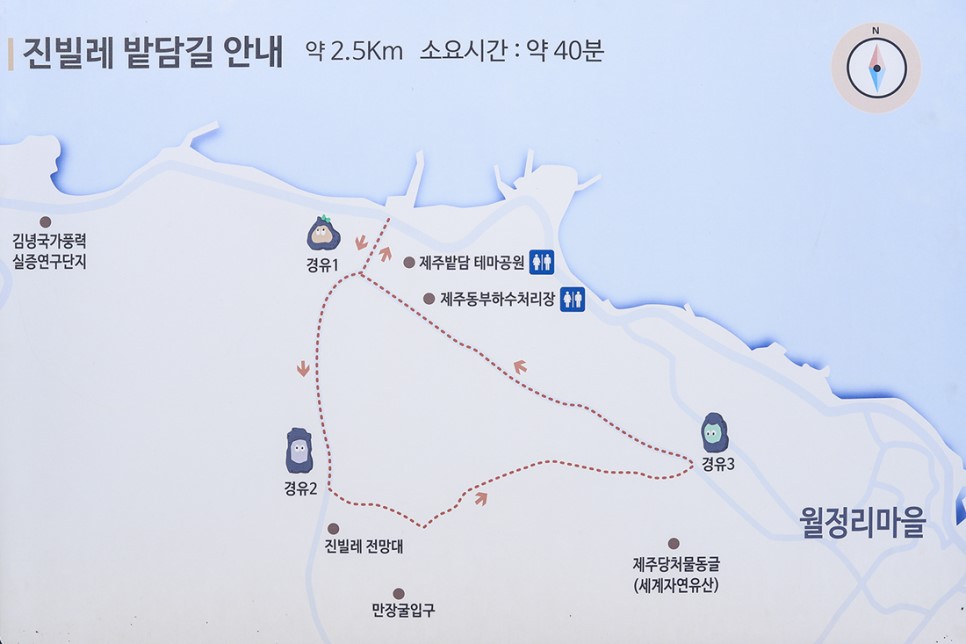 밭담 이미지