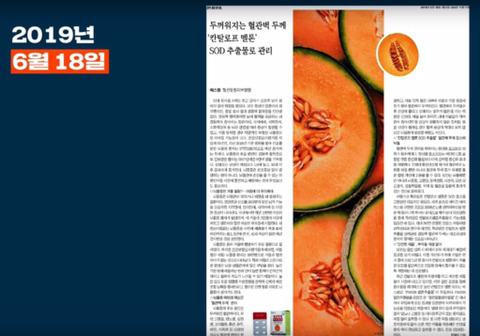신문사가 돈을 버는 방법(조선일보,자한당) | 인스티즈