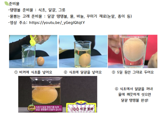 물뿜는고래 이미지