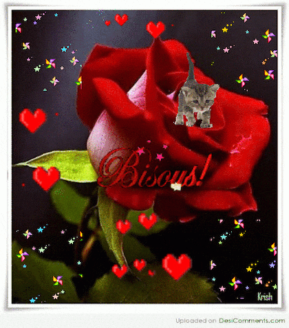 당신의 재치에 감탄하며 놓고가는 움짤 모음.gif | 인스티즈