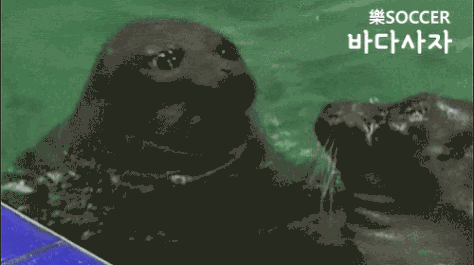 한국에 대한 알랭 드 보통의 생각 | 인스티즈