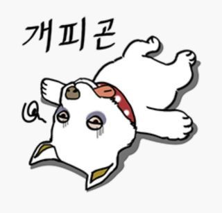 배시시 이미지