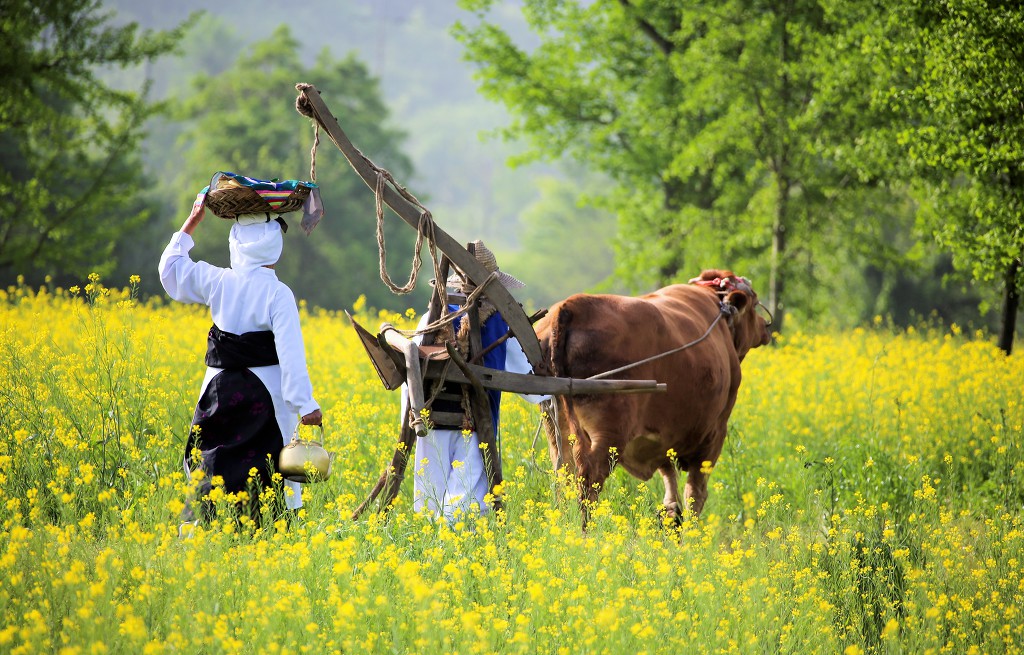 빛바람 이미지