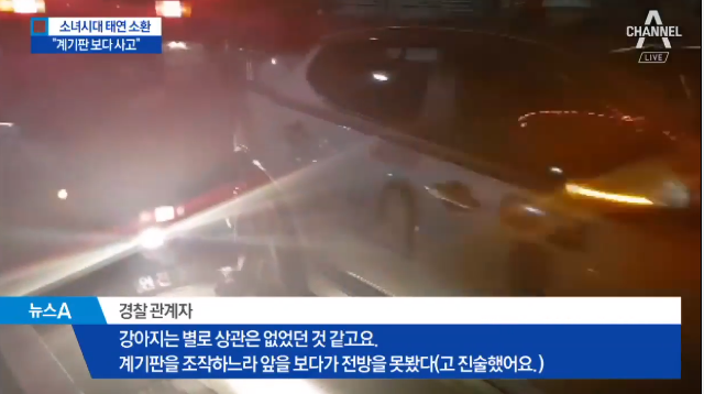 태연 경찰 조사 출석 때 상황+태연 측 진술 (사고에 강아지는 상관X) | 인스티즈
