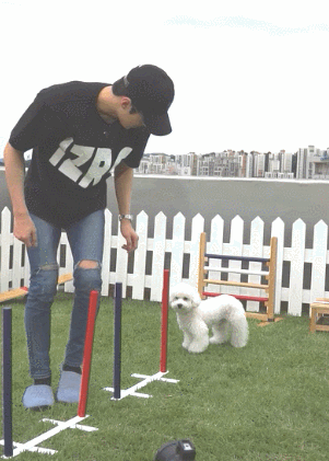 팬아저 모음 | 인스티즈