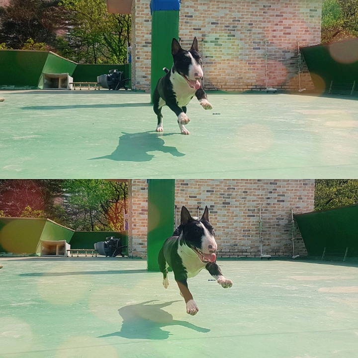 꽁쓰 이미지