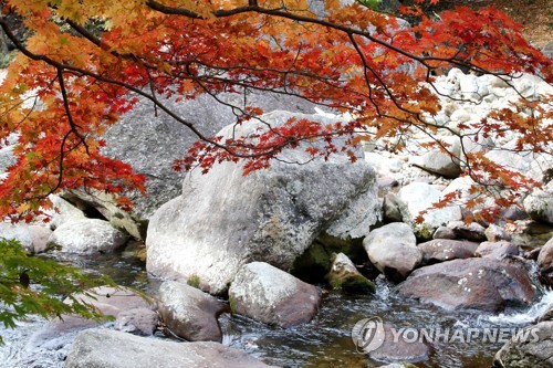 사진기자들이 포착한 2017년 단풍들.jpg | 인스티즈