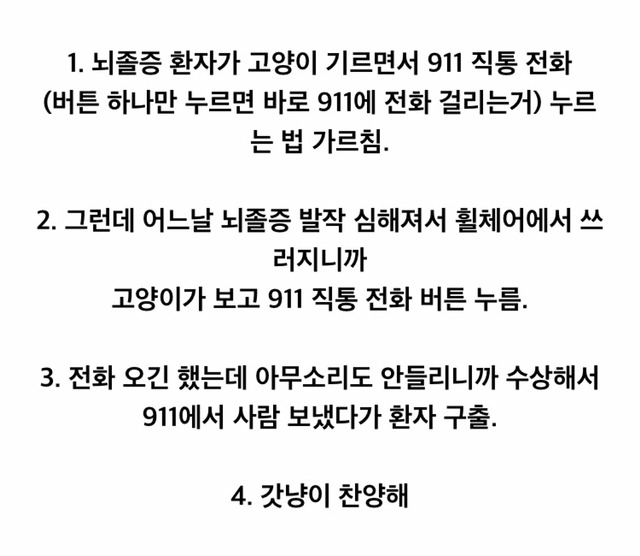 고양이 길러야 하는 이유 | 인스티즈