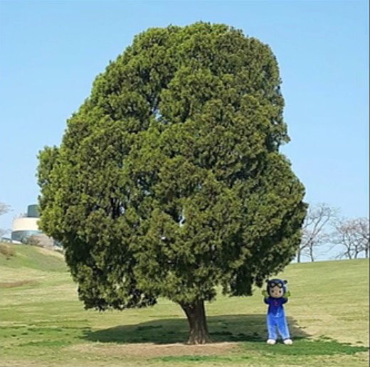 故 김주혁이 생전 마지막으로 해놓았던 카톡 프로필 사진 | 인스티즈