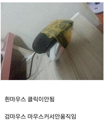 수난이대.jpg | 인스티즈