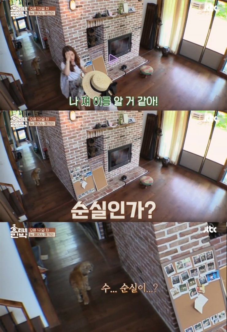 효리네친박 | 인스티즈