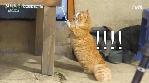 무슨 일이 있어도 때리지 말아야 한다vs마지노선을 넘었으면 처맞아야 한다(보기 있음) | 인스티즈