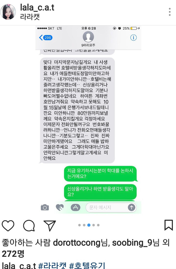 고양이 호텔에 고양이 9마리 유기 | 인스티즈