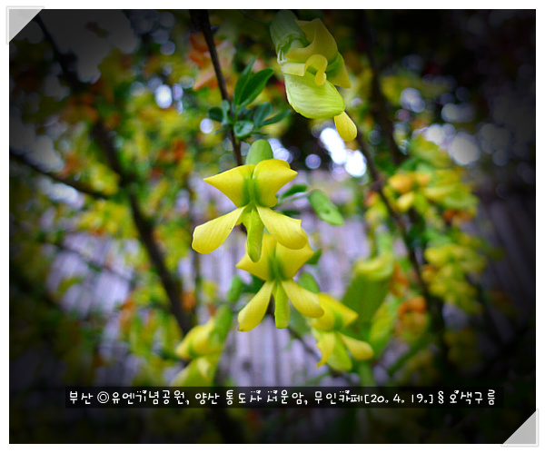 카페유엔 이미지