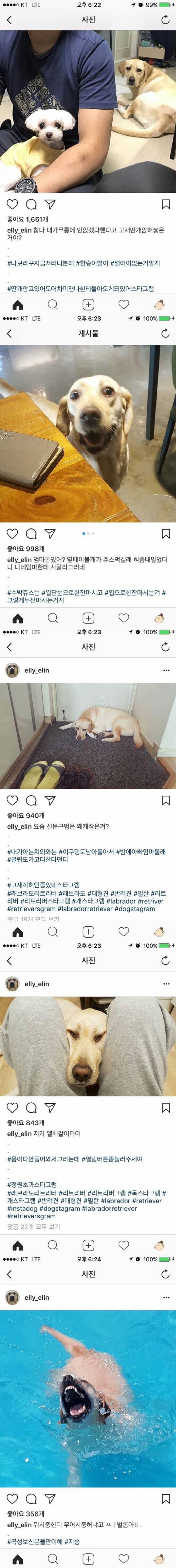 약빤 주인의 댕댕이 일기.jpg | 인스티즈