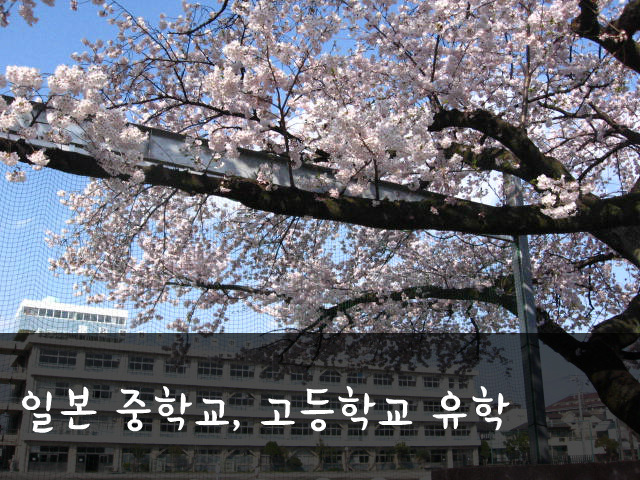 [일본중학교/일본고등학교 유학] 일본으로 조기유학 가자!! - ◐나홀로일본유학 - ★고재팬 일본유학★일본워킹홀리데이,일본어학연수,일본대학